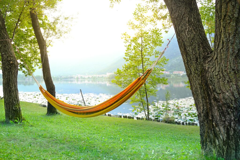 hammock, relax, relaxation-3595667.jpg