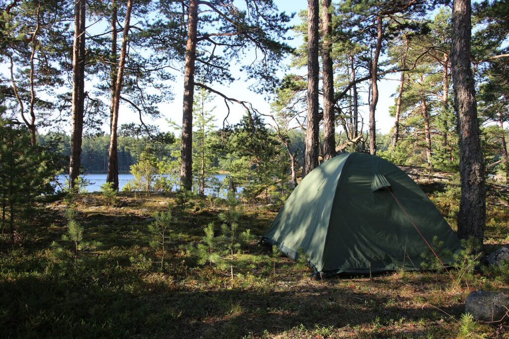 tent, forest, trees-5506381.jpg
