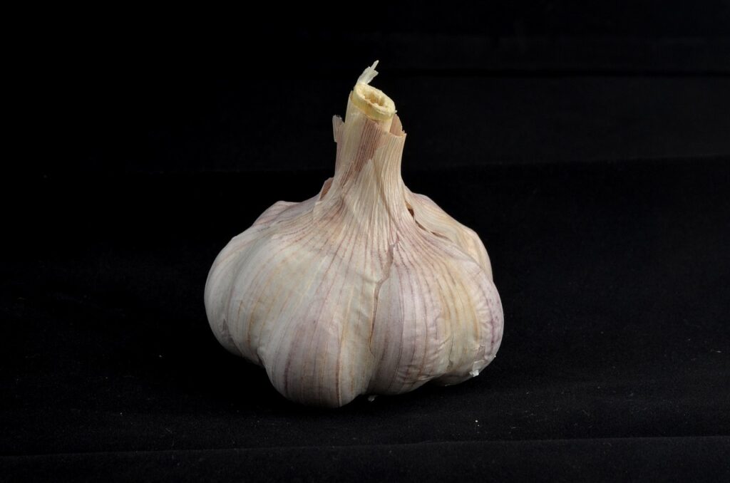 garlic, spices, healthy-316476.jpg