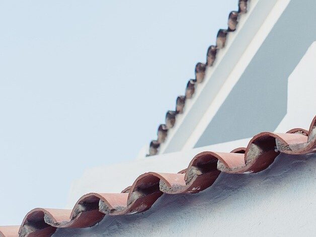 cat, city, roof-7662965.jpg